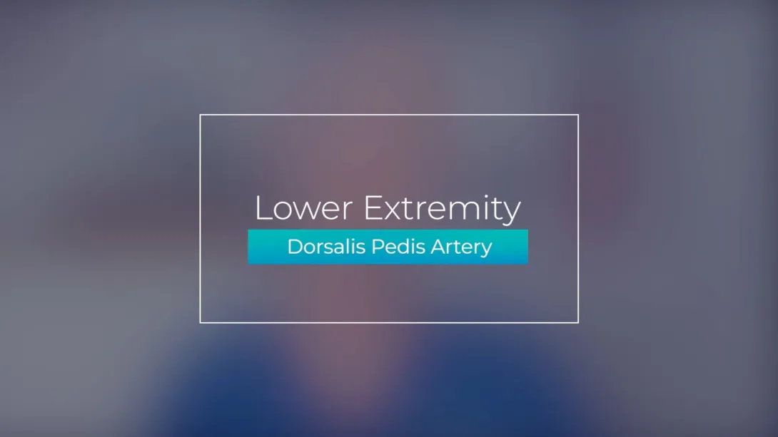 Dorsalis Pedis Artery