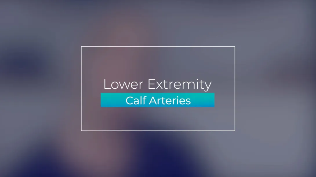 Calf Arteries
