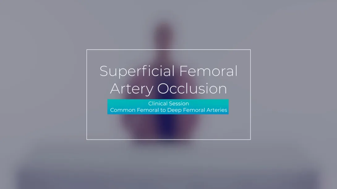 Clinical Session: Common Femoral to Deep Femoral Arteries