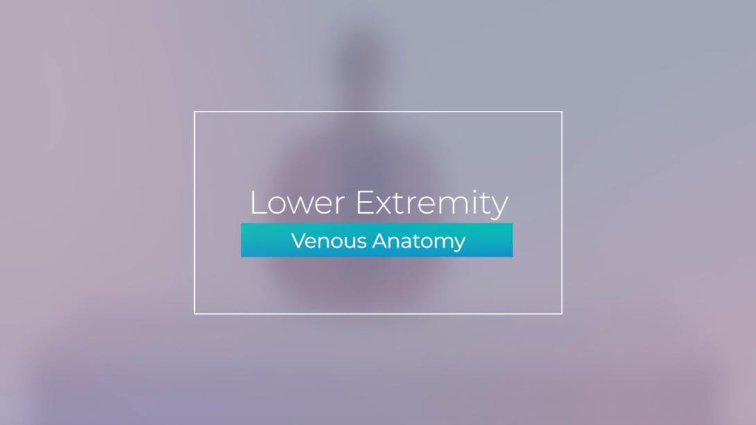 Lower Extremity Venous Anatomy