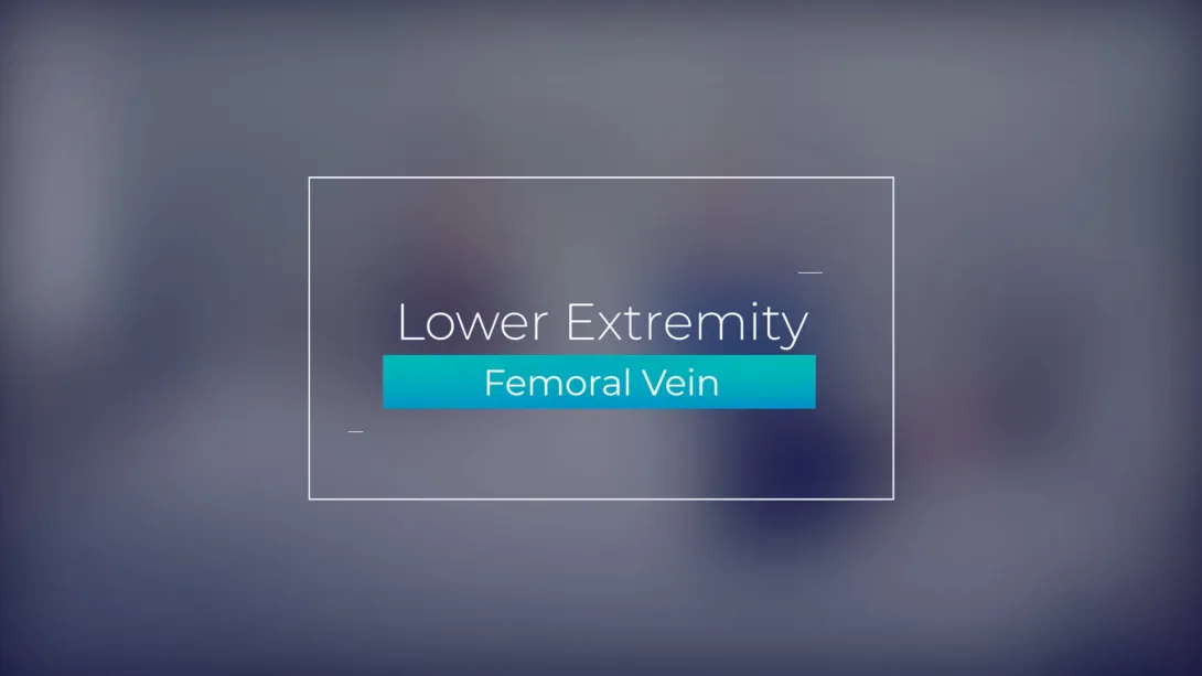 Femoral Vein