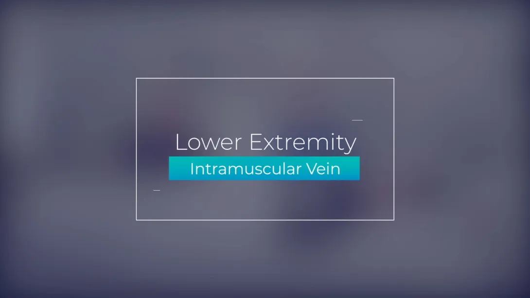 Intramuscular Veins