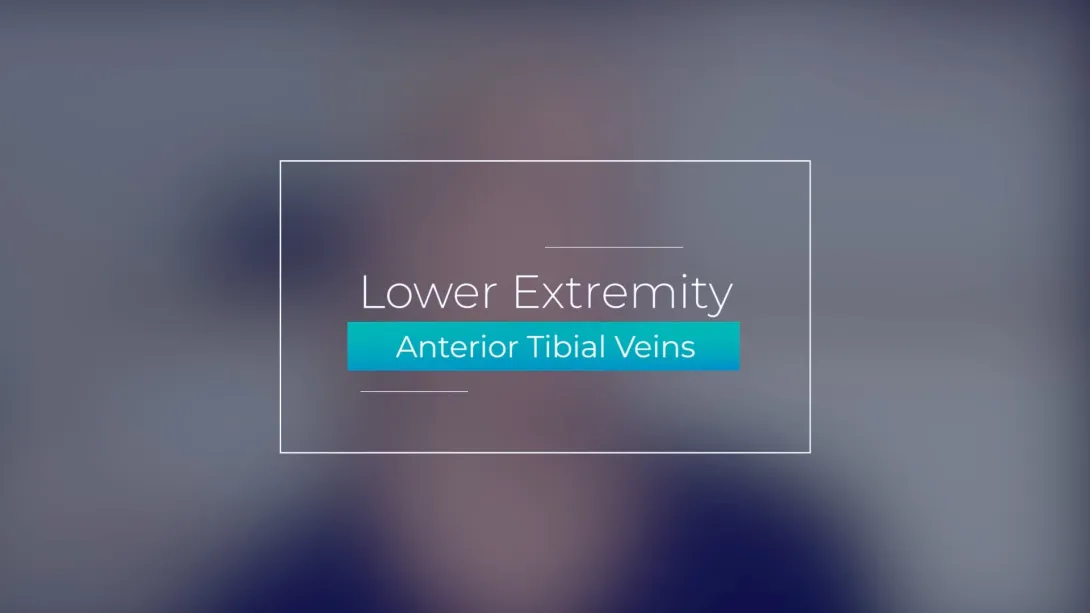 Anterior Tibial Veins
