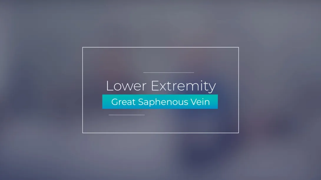 Great Saphenous Vein