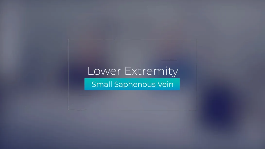 Small Saphenous Vein