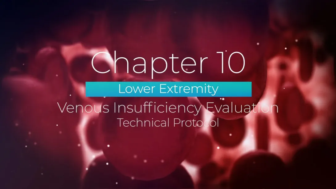 Examination Overview