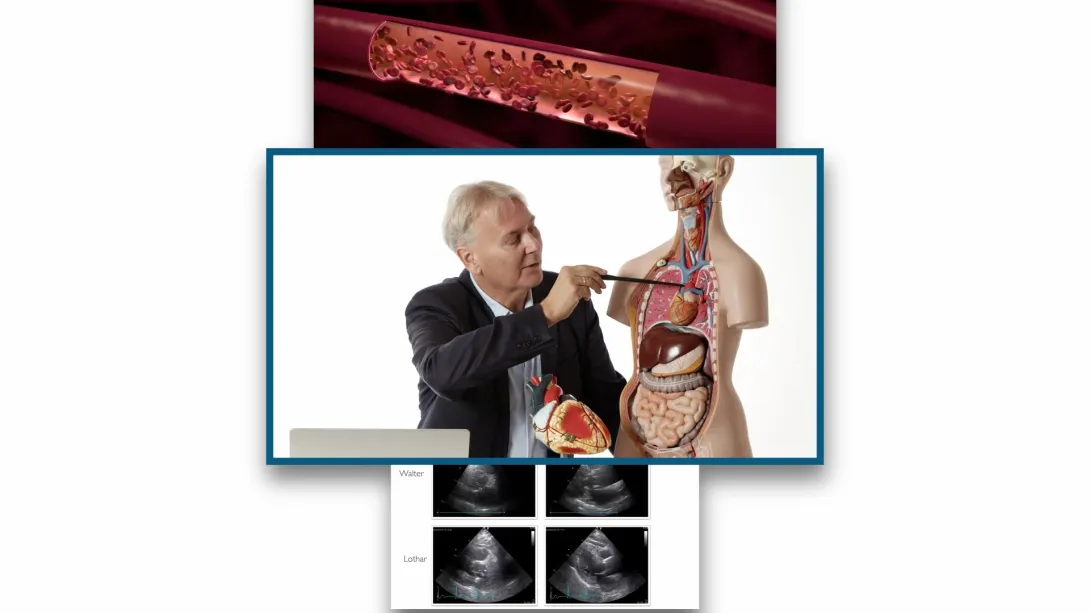 Physiology