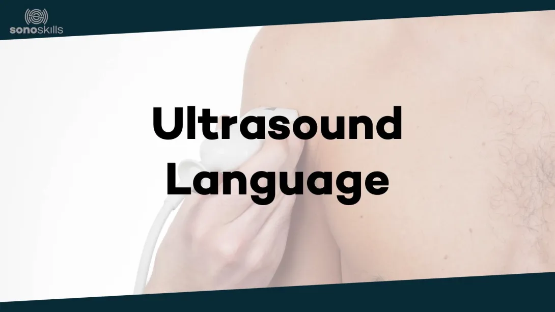 Ultrasound language