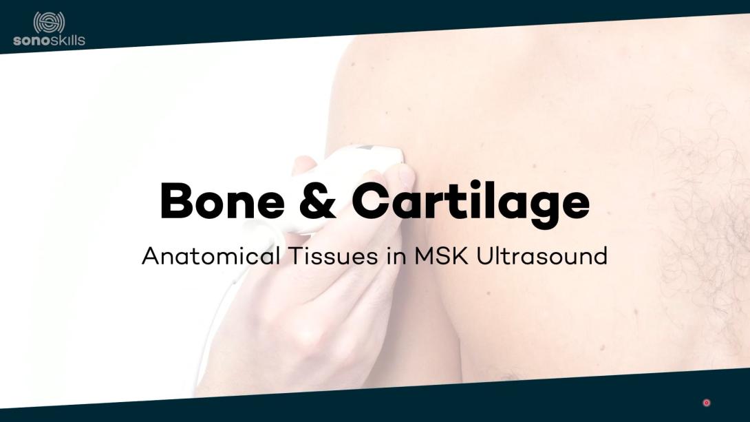 Bone and cartilage in ultrasound