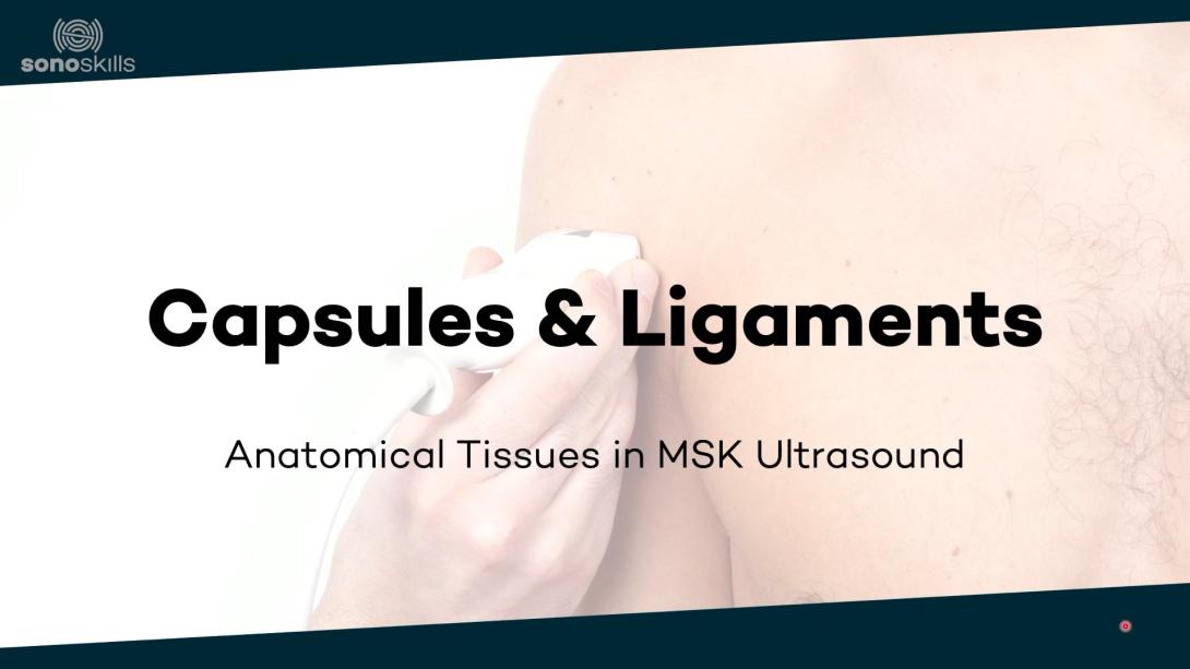 Capsules and ligaments in ultrasound