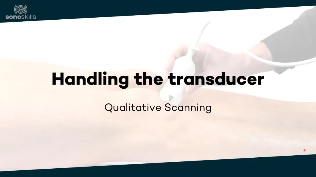 Handling the transducer