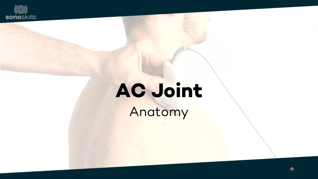 AC joint anatomy