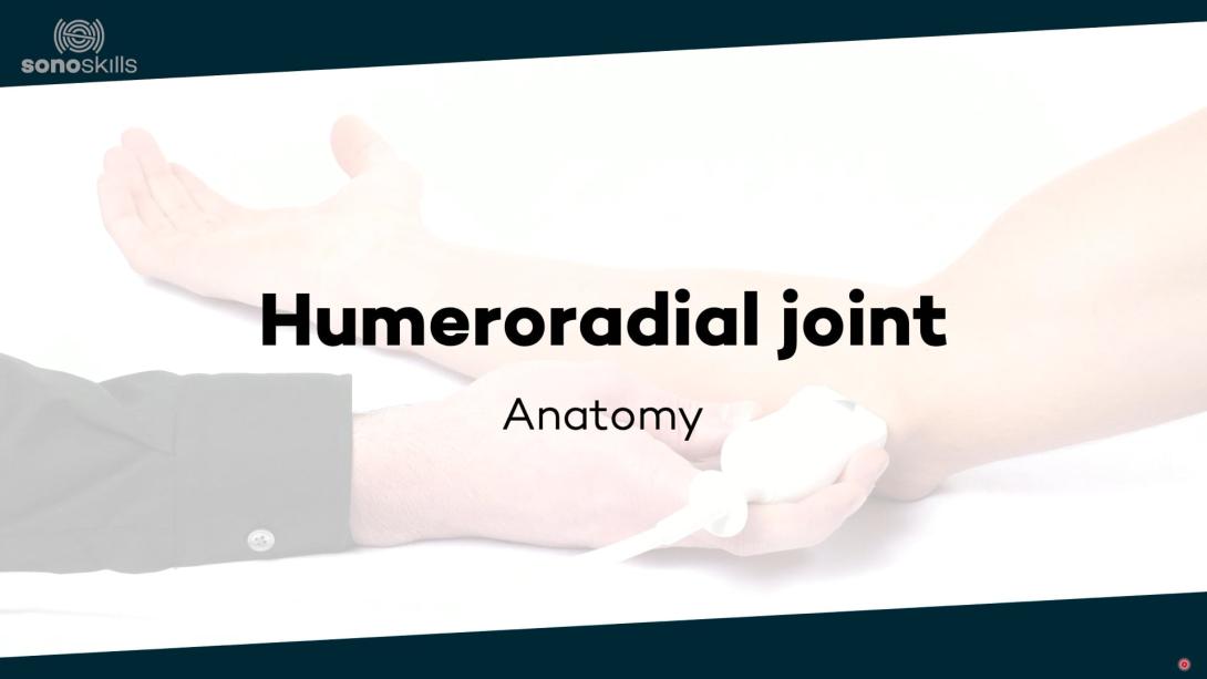 Humeroradial joint - anatomy