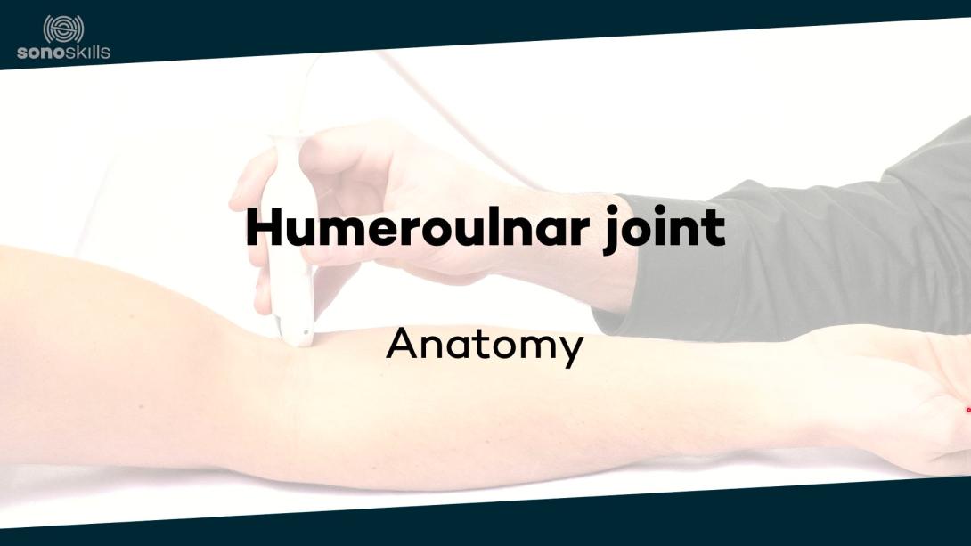 Humeroulnar joint - anatomy
