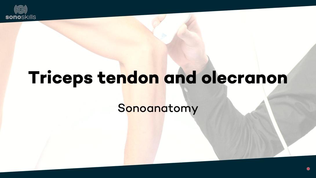 Triceps tendon and olecranon - sonoanatomy