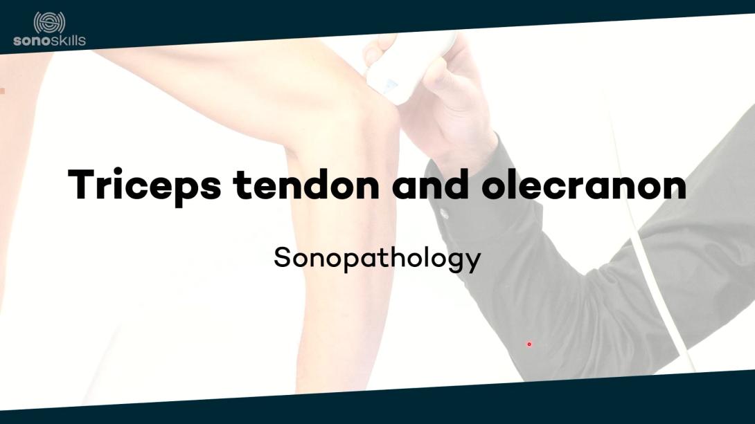 Triceps tendon and olecranon - sonopathology