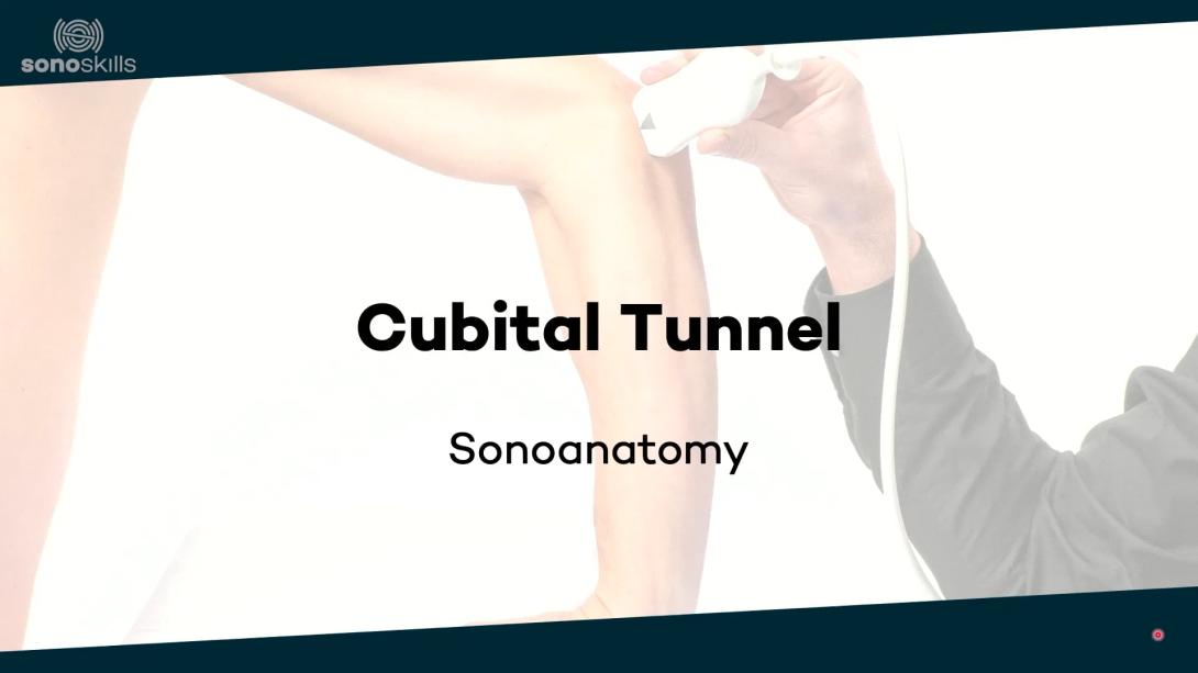 Cubital tunnel - sonoanatomy