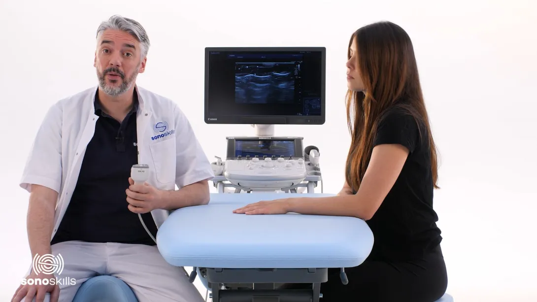 Radiocarpal and midcarpal joints - hands-on LAX