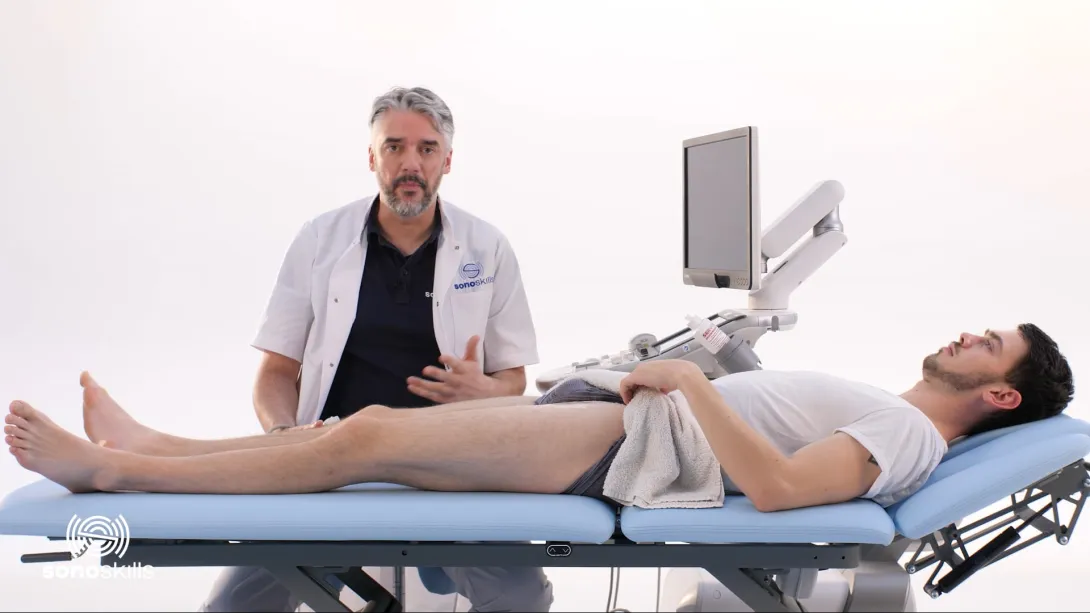 Sartorius tendon/muscle - hands-on SAX