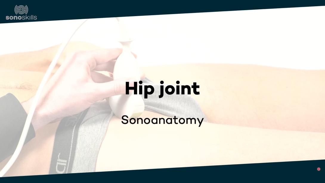 Hip joint - sonoanatomy