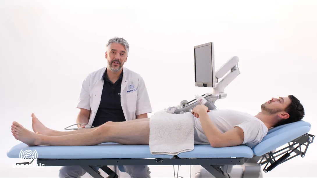 Hip joint, recess and iliopsoas complex  - hands-on LAX