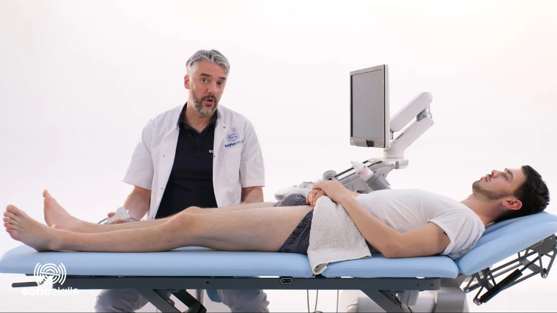Rectus femoris direct tendon - hands-on SAX