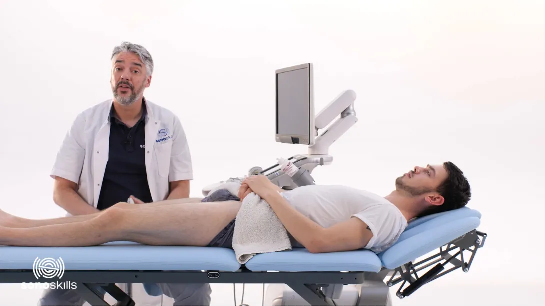Rectus femoris direct tendon - hands-on LAX