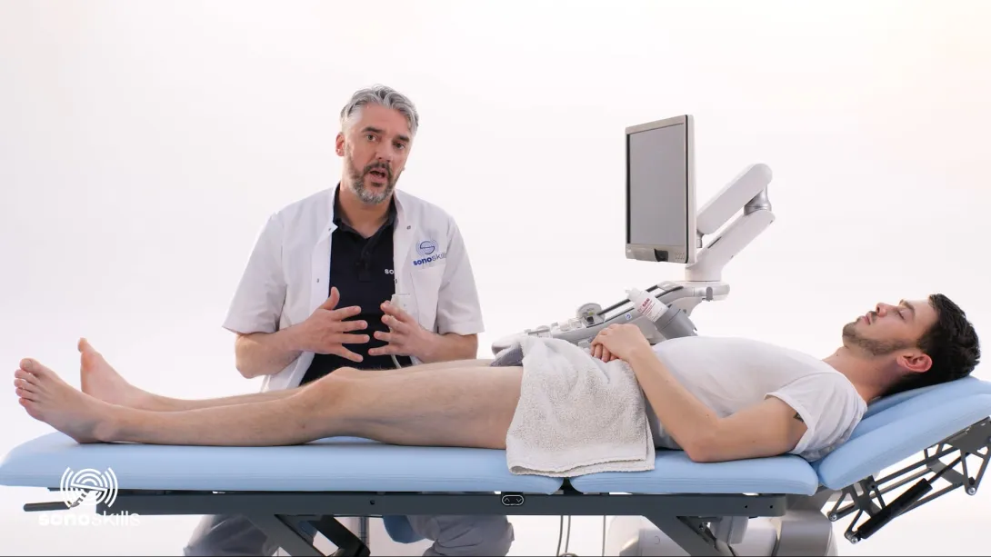 Adductors - hands-on LAX