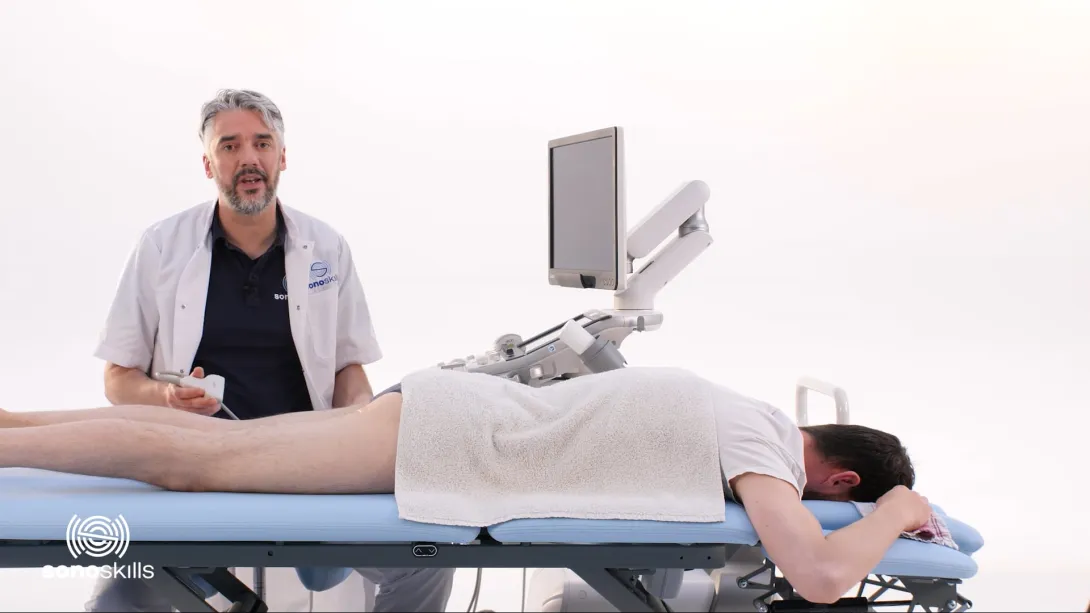 Sciatic nerve - hands-on LAX