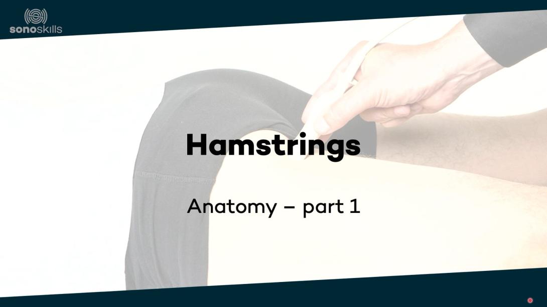 Hamstrings part 1 - anatomy