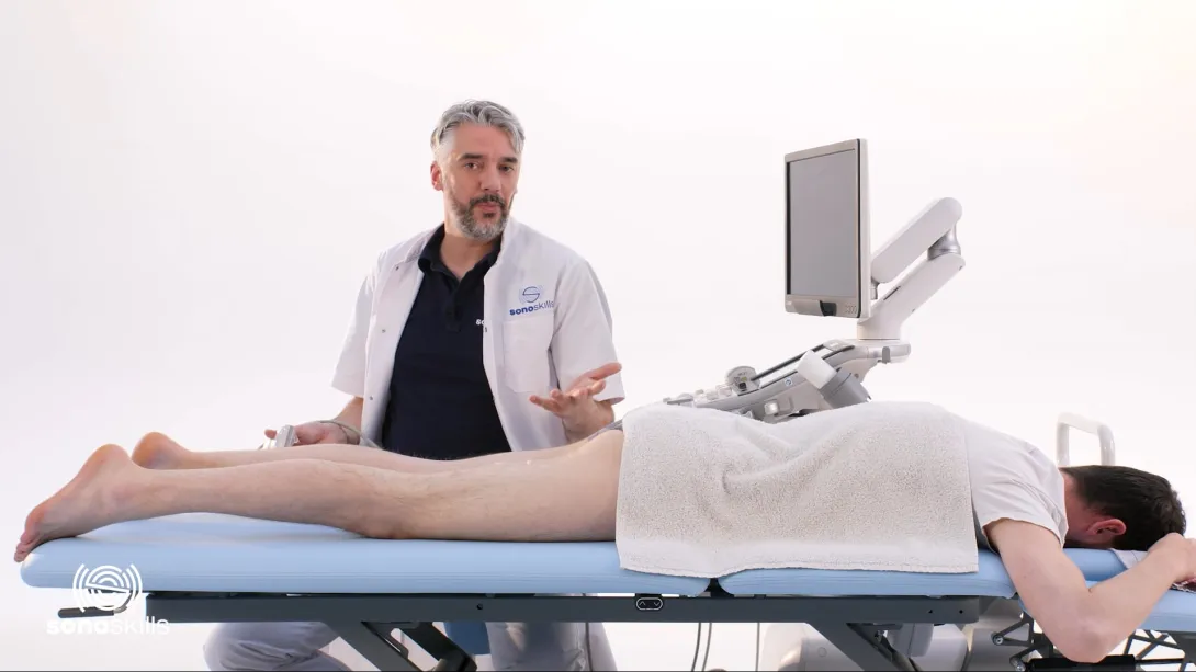 Sciatic nerve - hands-on SAX
