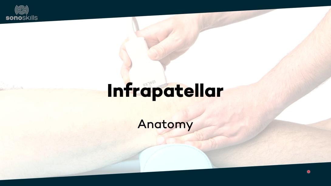 Infrapatellar - anatomy