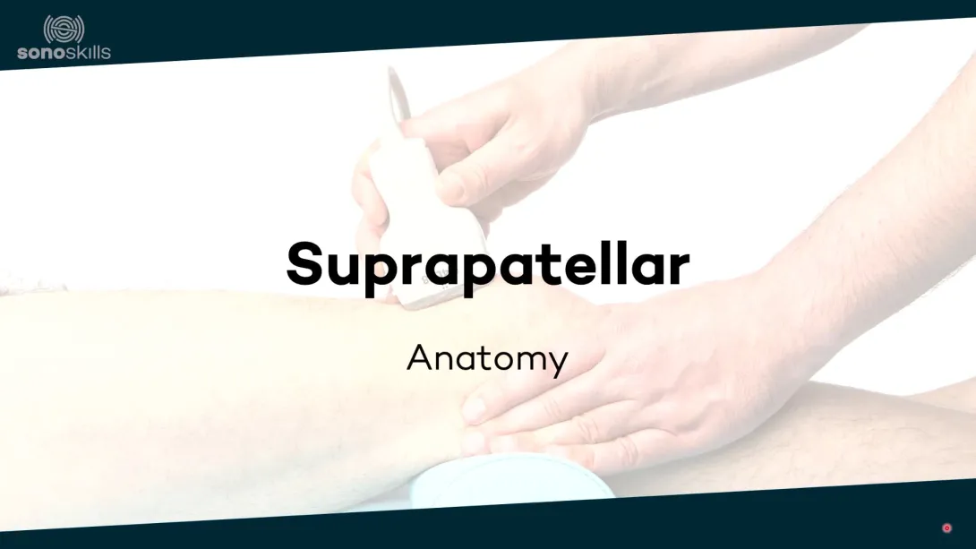 Suprapatellar - anatomy