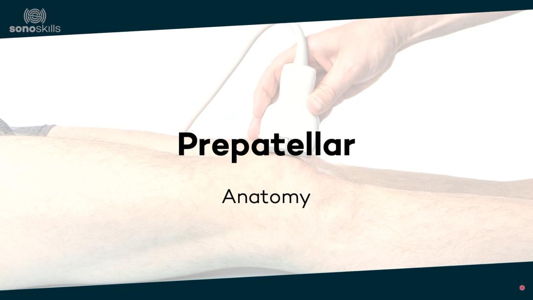 Prepatellar - anatomy