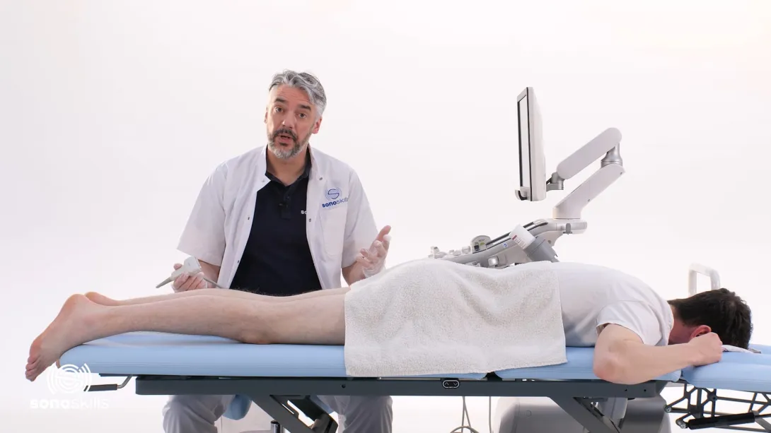 Medial tendons, semimembranosus gastrocnemius bursa - hands-on SAX
