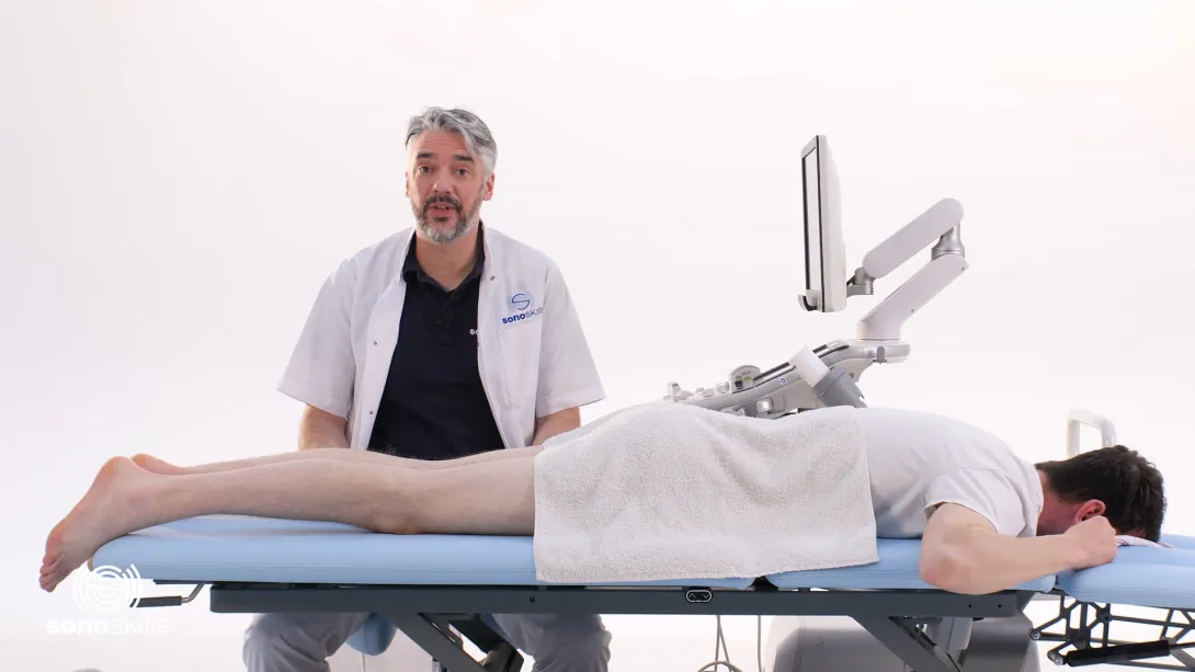 Medial tendons, semimembranosus gastrocnemius bursa - hands-on LAX
