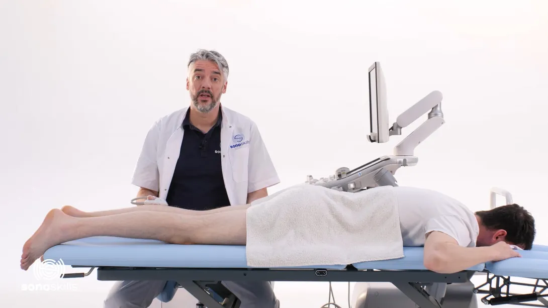 Common peroneal nerve - hands-on SAX