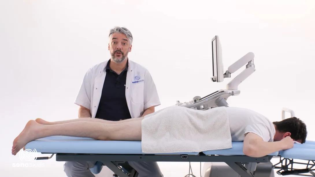 Long and short head of the biceps femoris - hands-on LAX