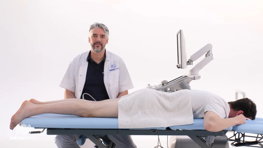 Long and short head of the biceps femoris - hands-on SAX