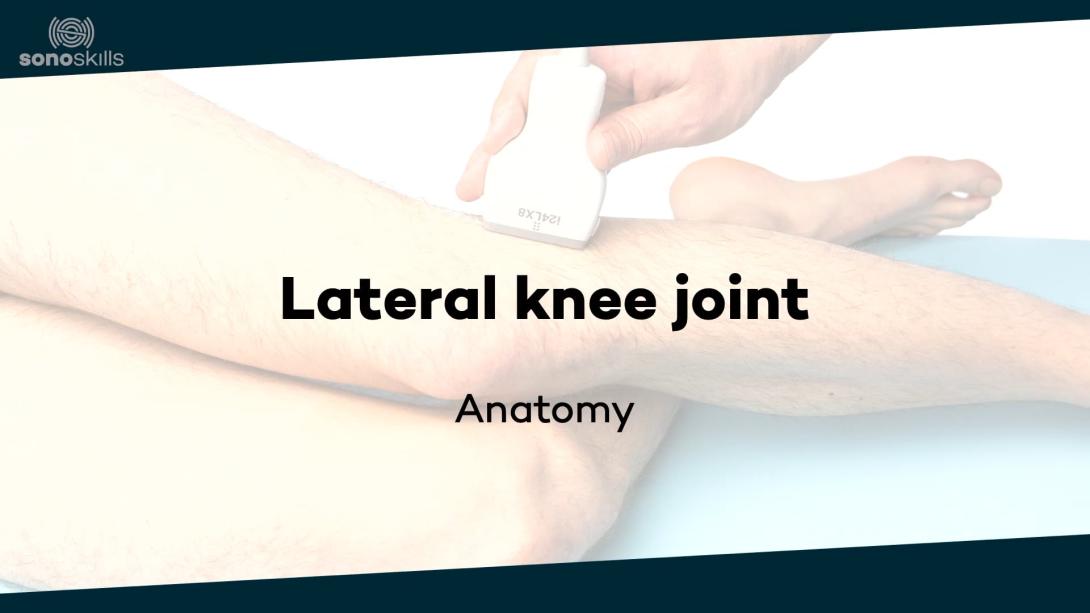 Lateral knee joint - anatomy