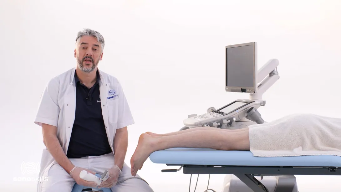 Achilles tendon, gastrocnemius muscle, soleus muscle - longitudinal