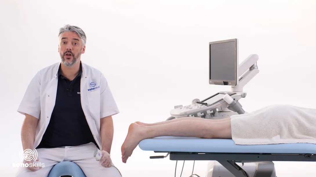 Achilles tendon, gastrocnemius muscle, soleus muscle - transverse