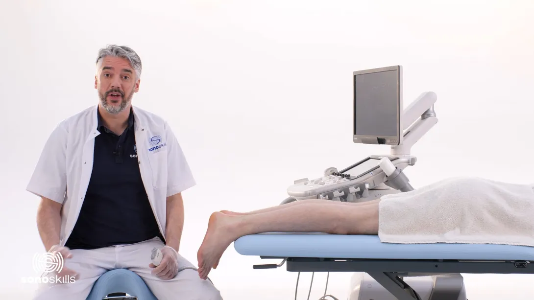 Peroneus longus and brevis - transverse