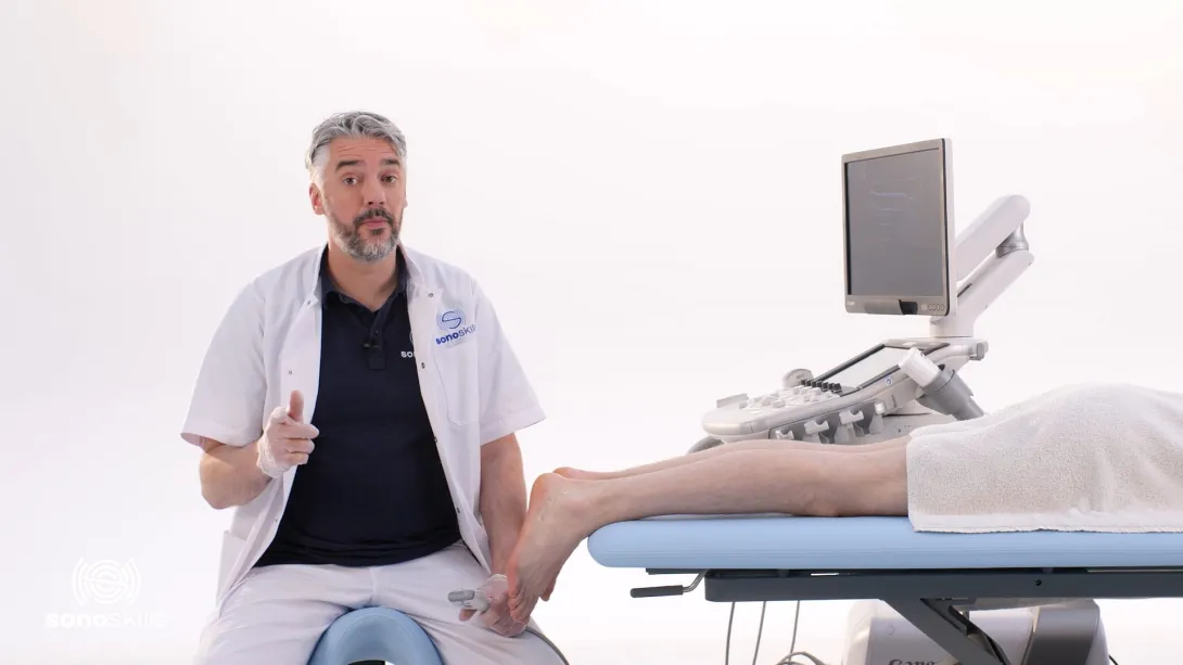 Peroneus longus and brevis - longitudinal