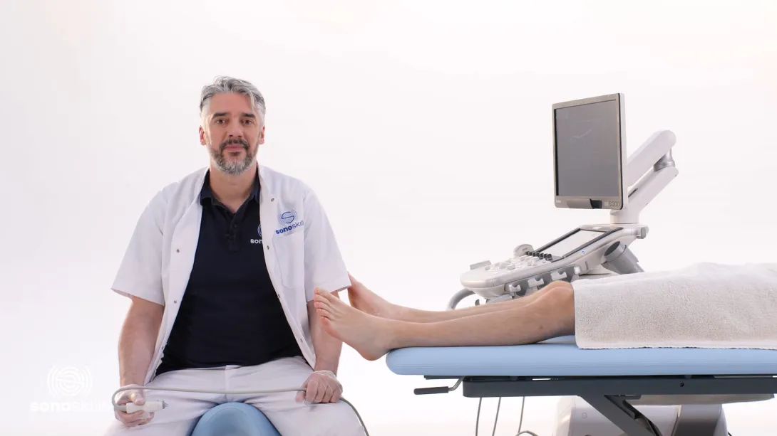 Deltoid ligament - longitudinal