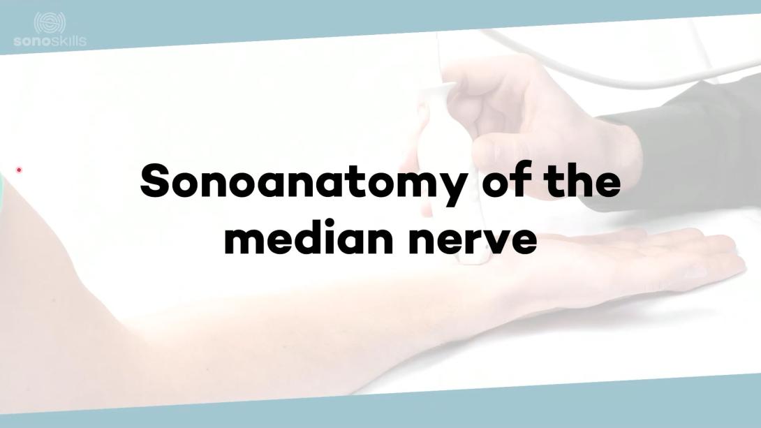 (Sono)anatomy of the median nerve