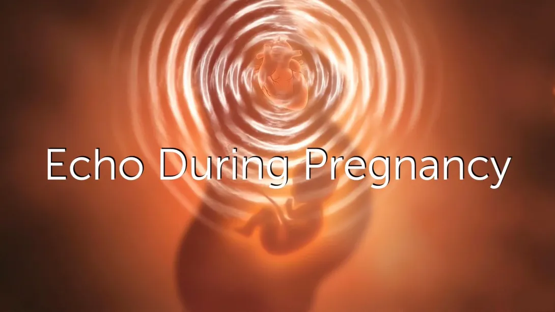 Hemodynamics During Pregnancy What You Need to Know.
