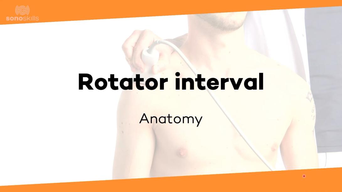 Rotator interval - anatomy