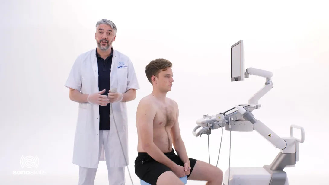 Supraspinatus tendon 3x active abduction - hands on LAX