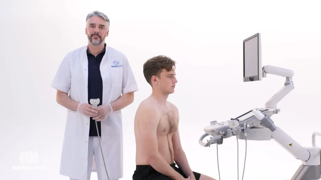 Supraspinatus tendon detailed 1 - hands on SAX